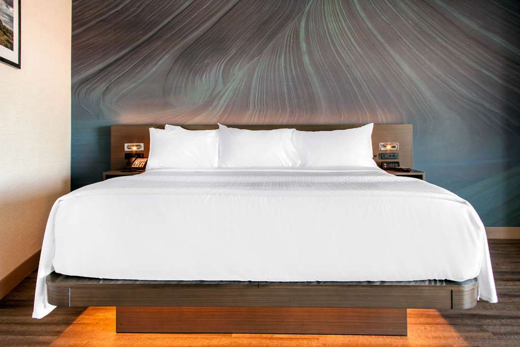 Cambria Hotel Sonoma Wine Country Rohnert Park Habitación foto