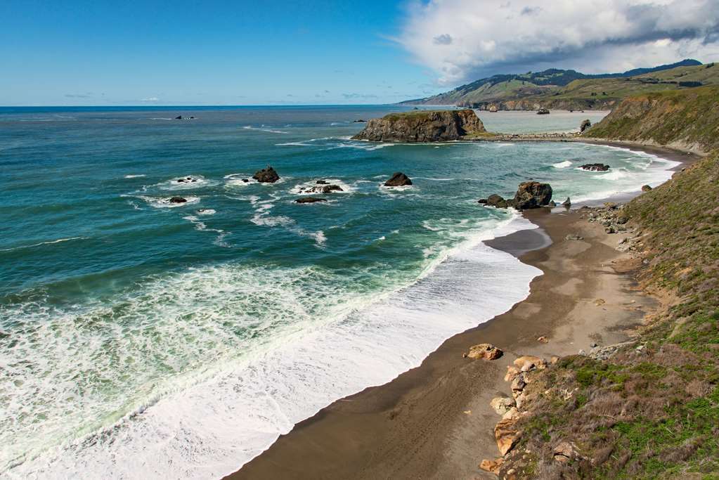 Cambria Hotel Sonoma Wine Country Rohnert Park Servicios foto